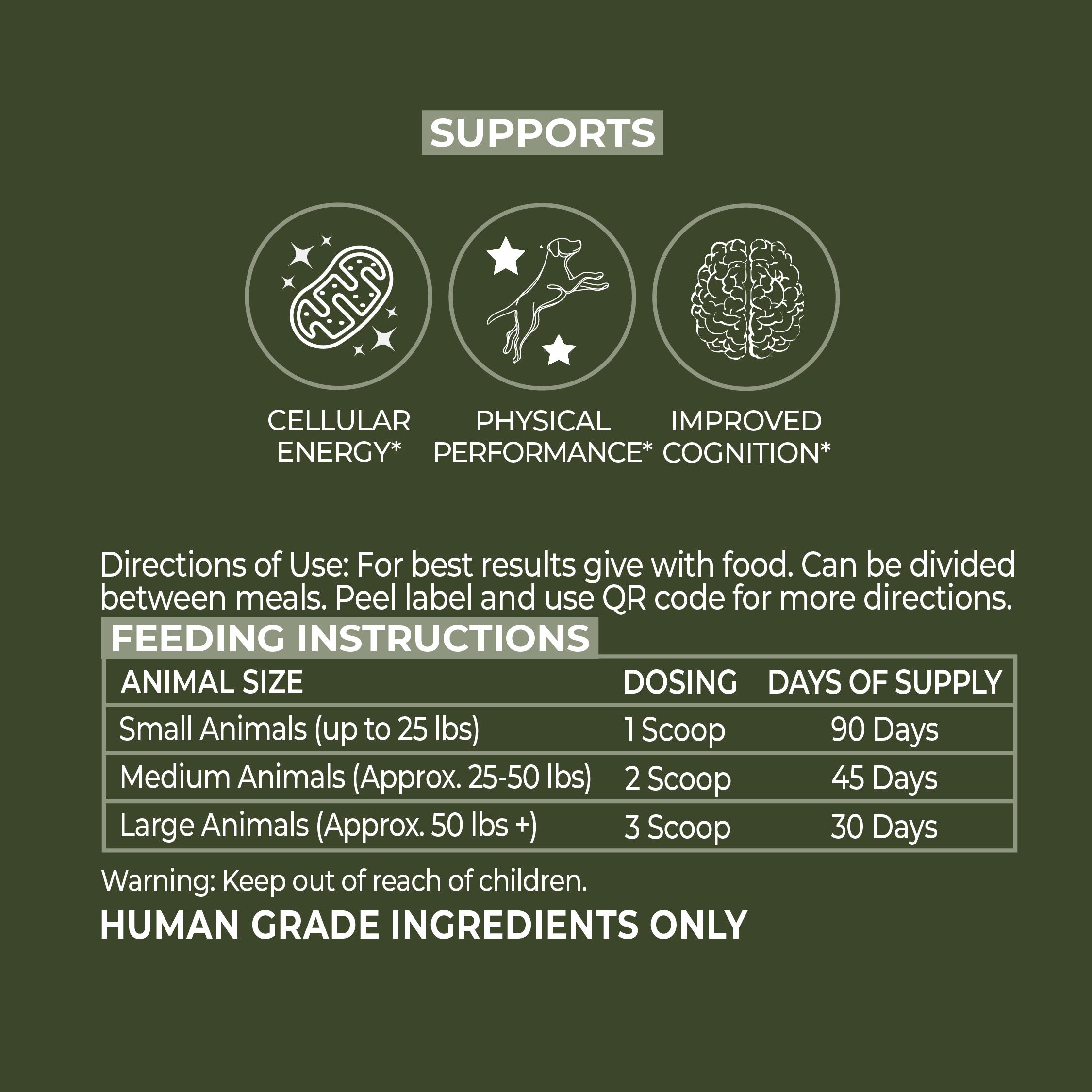 Daily Support & Vitality Kit