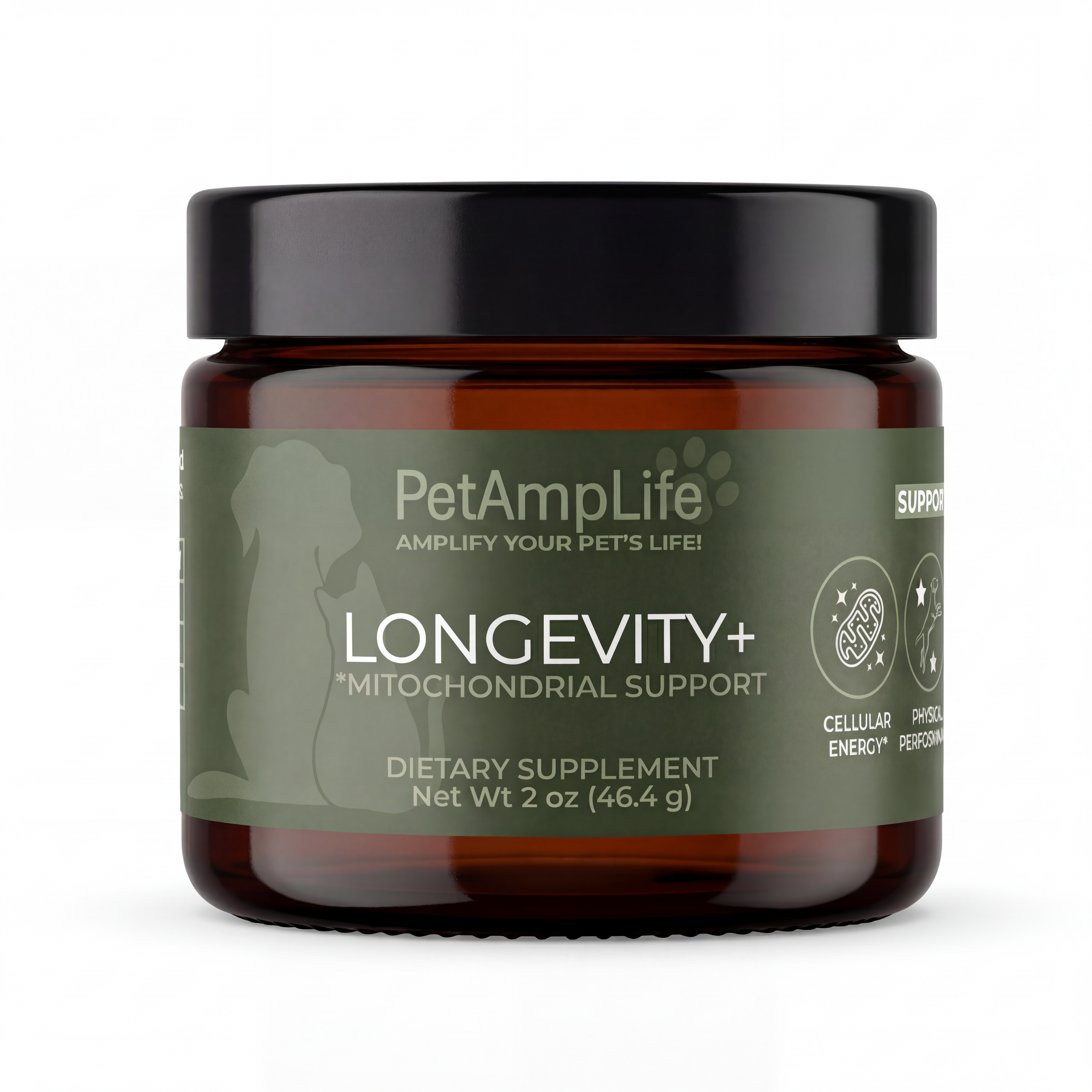 Longevity+