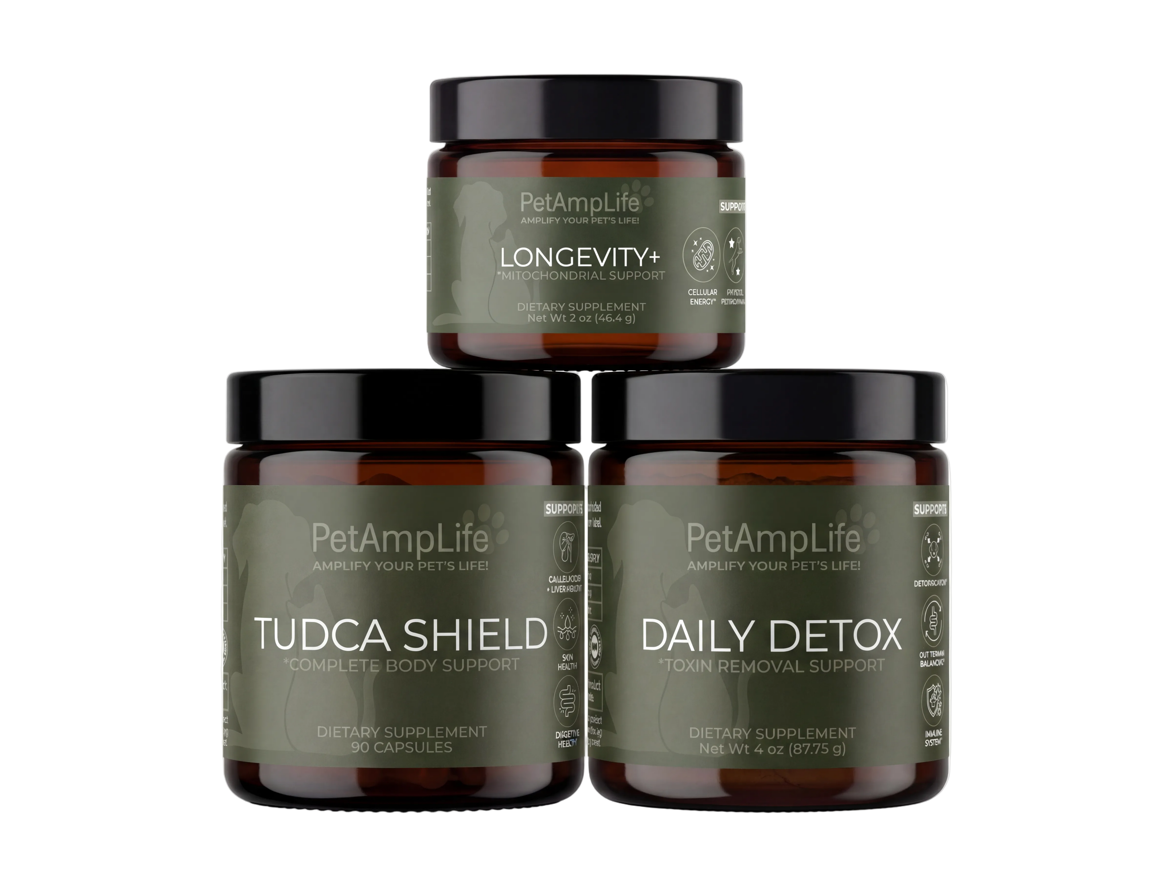 Daily Support & Vitality Kit