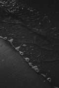 Humic Shale
